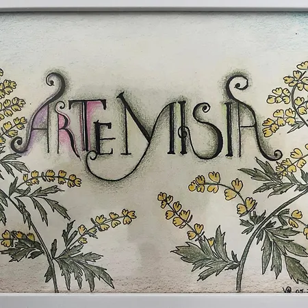 Eco Friendly Artemisia דירה זאדאר