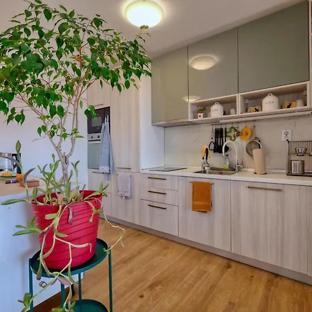 Eco Friendly Artemisia דירה זאדאר