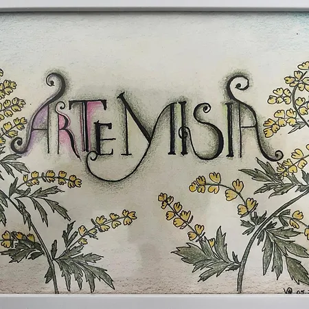 Eco Friendly Artemisia Apartmán Zadar