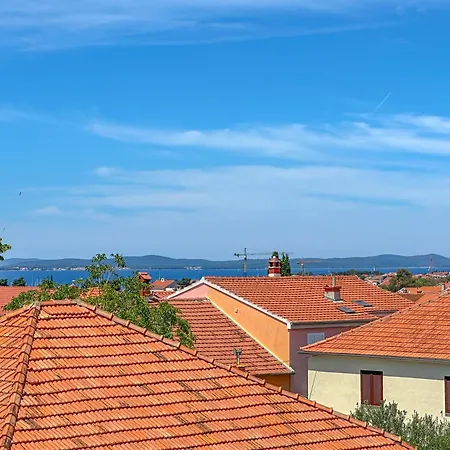 Eco Friendly Artemisia * Zadar