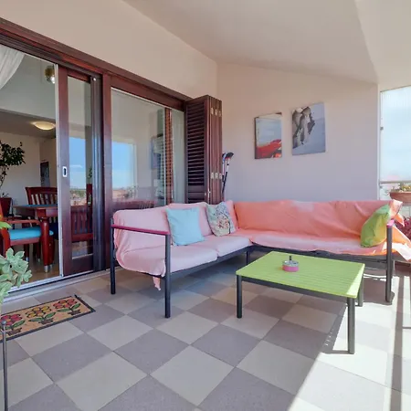 Eco Friendly Artemisia *